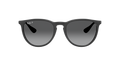 Rayban Erika RB4171